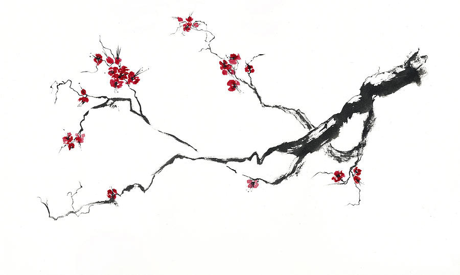 Cherry Blossom Ink Drawings